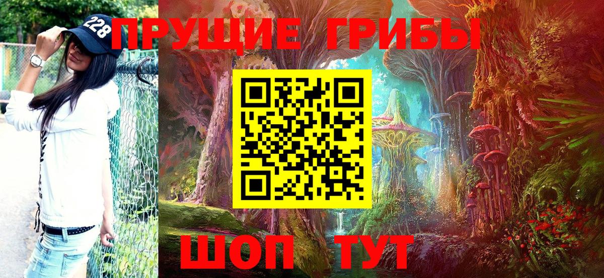 продажа наркотиков  Псилоцибиновые грибы прущие грибы  Вход с VPN  Костомукша 